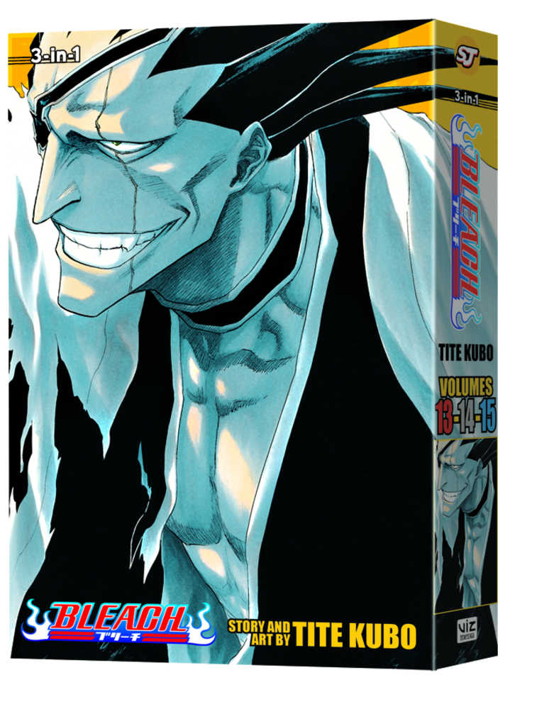 Bleach 3-In-1 Volume 05