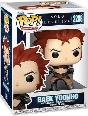 Pop Solo Leveling Baek Yoonho