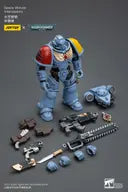 Space Wolves Intercessors (Joytoy)