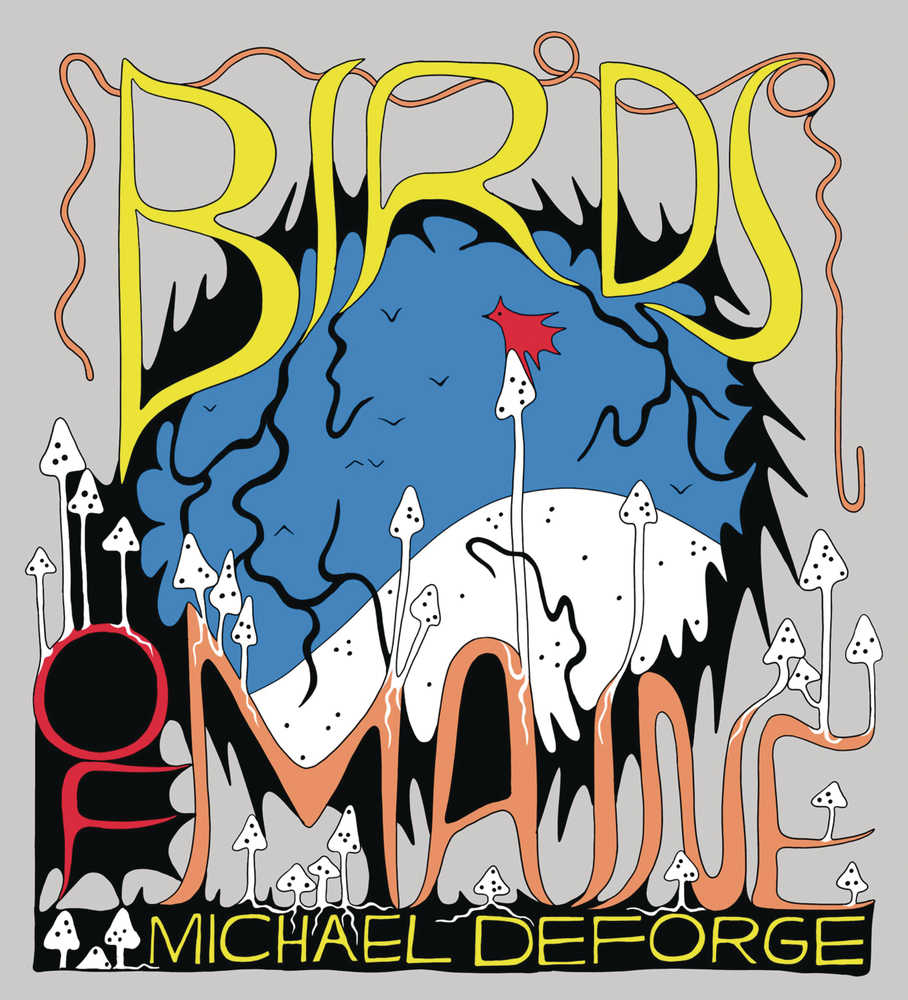 Birds Of Maine