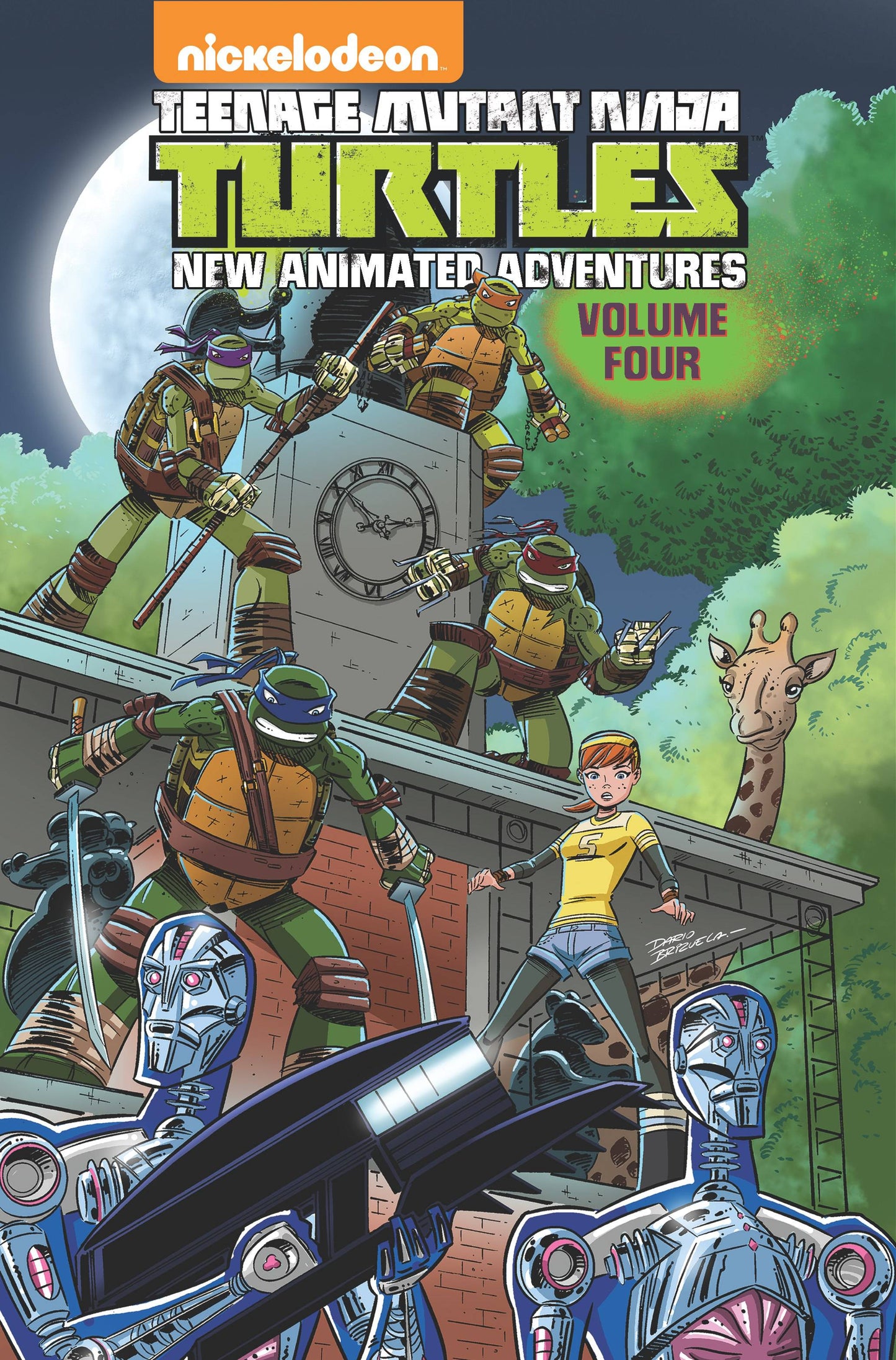 Teenage Mutant Ninja Turtles New Animated Adventures Volume 04