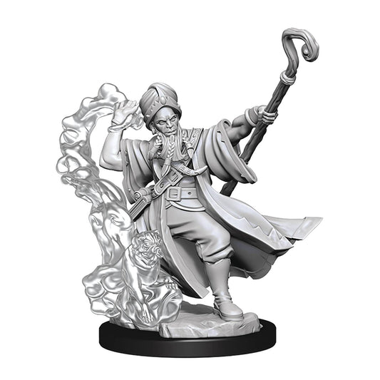 D&D Frameworks Human Wizard Male Miniature