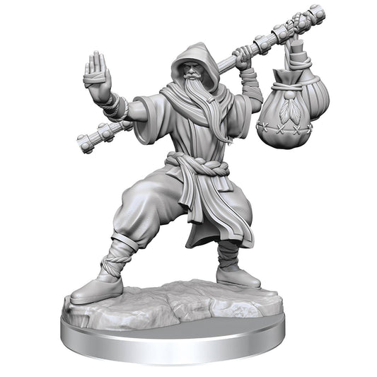 D&D Frameworks Human Monk Male Miniature